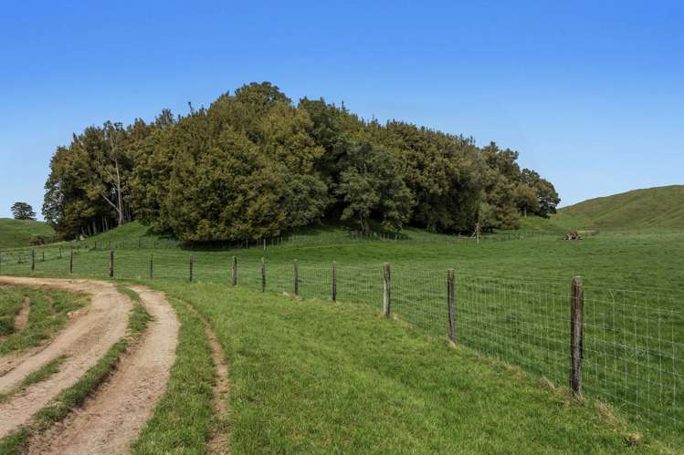 103 Rendall Road Rotoma_5