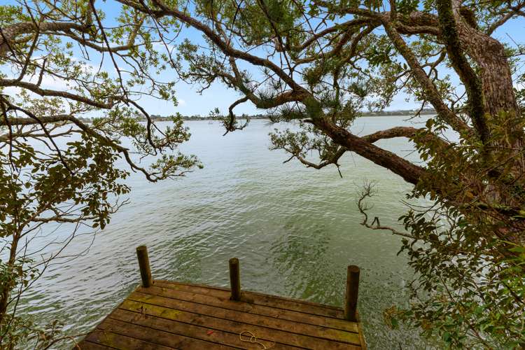 7 Chatham Avenue Paremoremo_13