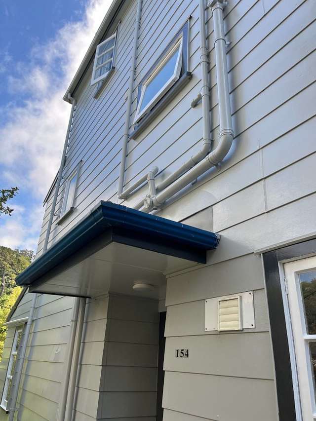 154 Hanson Street Newtown_1