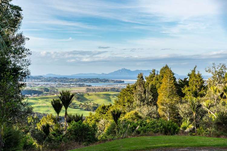 Lots 1 & 2 Carters Road West Mangawhai_11