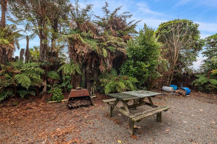 61 Mamaku Street Mamaku_20