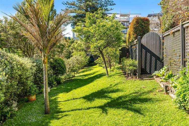 3 Dilworth Terrace Parnell_32