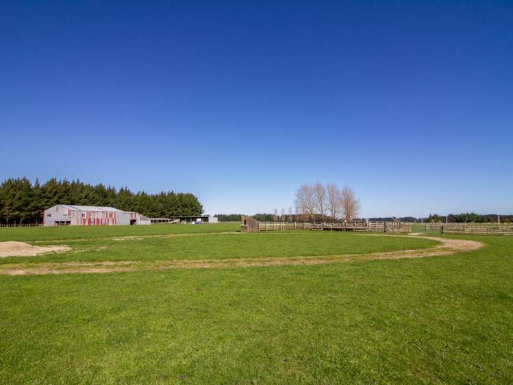 438 Omahina Road Waverley_7