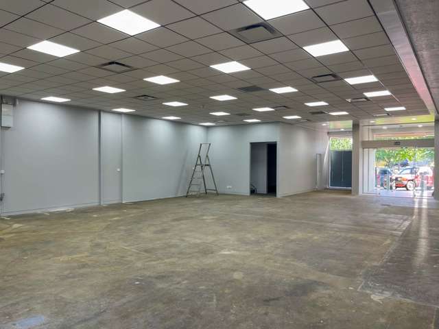 5 Totara Avenue New Lynn_4