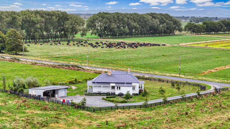 124 Campbell Road Pipiroa_15