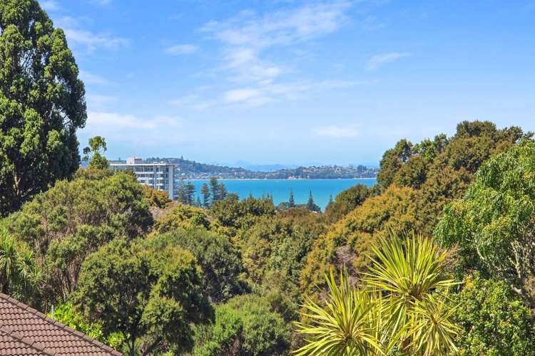 15 Ambassador Glade Orewa_31