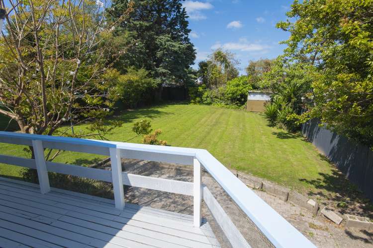 113a Sheehan Street Whataupoko_18