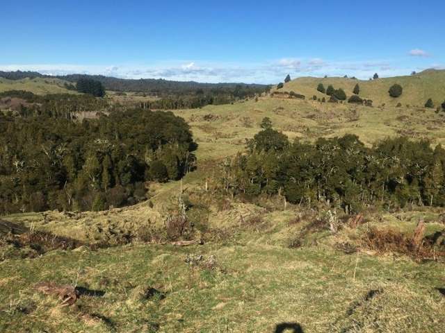 1427 Waitaanga Road Ohura_2