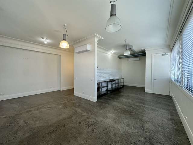 14 Maidstone Street Grey Lynn_1