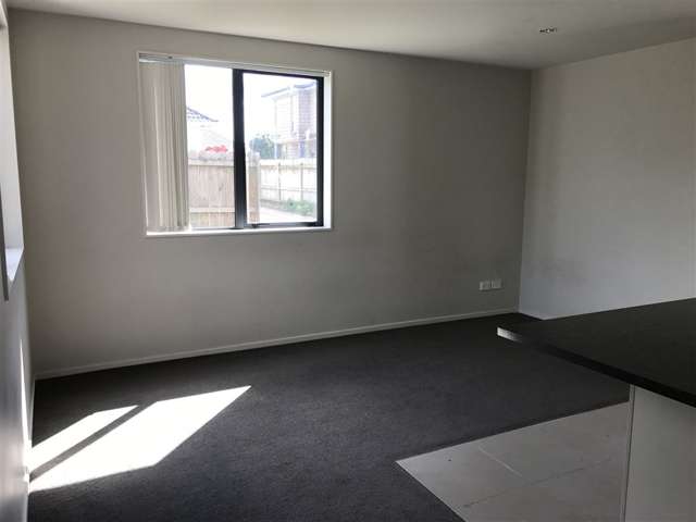 47a Denbigh Avenue Mount Roskill_4