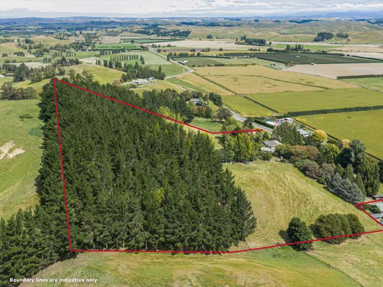 564 Swamp Road Puketapu_15