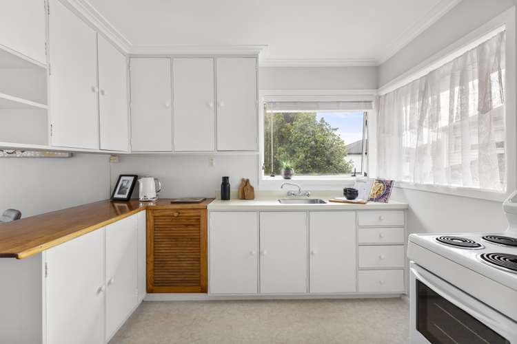 20 Middlesex Road Waterview_7