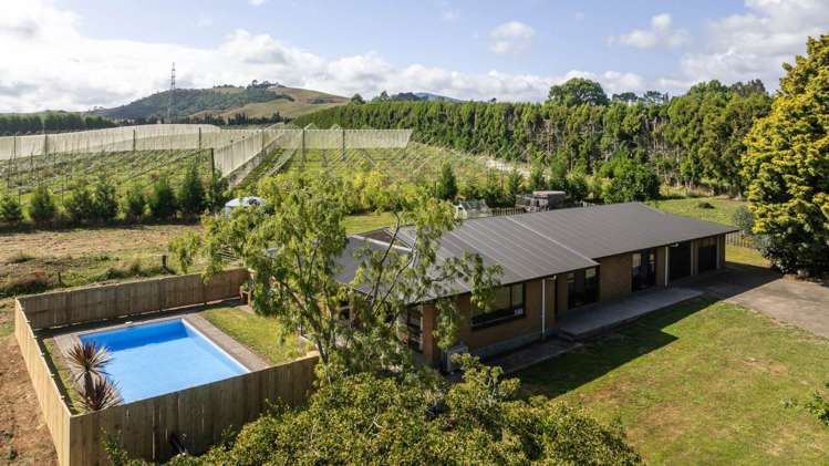 64 Pukekauri Road Waikino_23