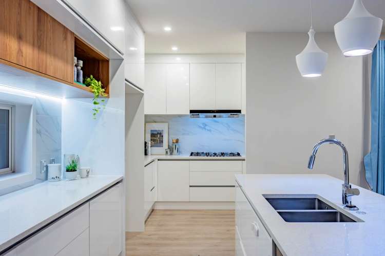 40a Olsen Avenue Hillsborough_18