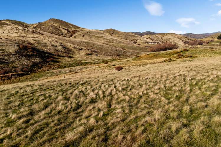 187 Hawksburn Road Nevis_19