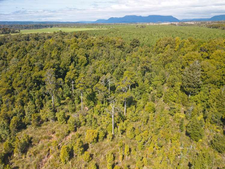 8 Chesterfield Road Awatuna_15