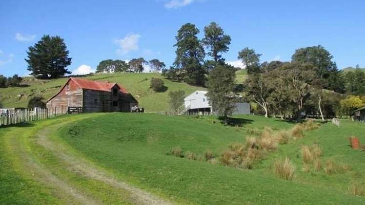 357 Summerhill Road Hinakura_9