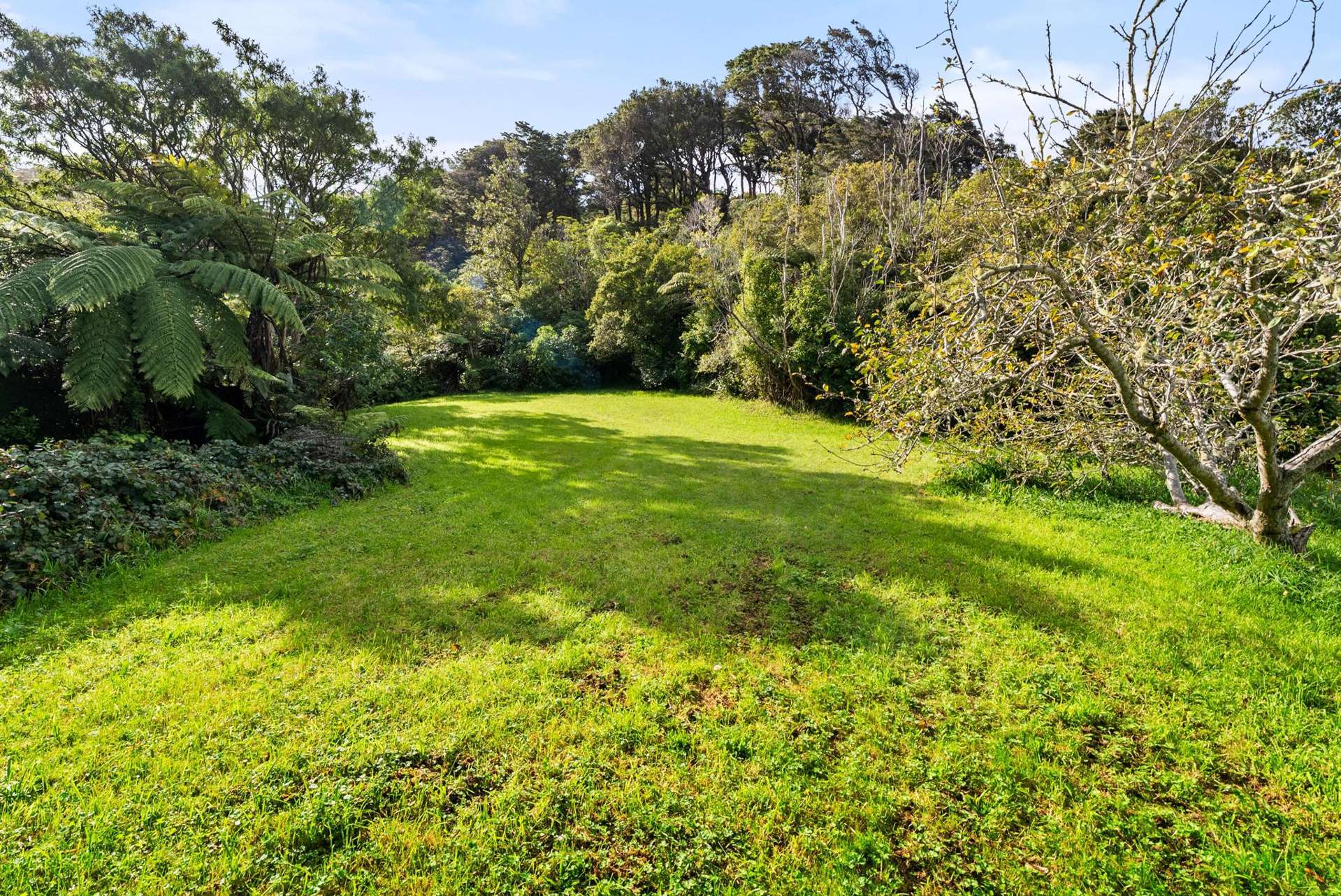 208 Marine Drive Lowry Bay_0
