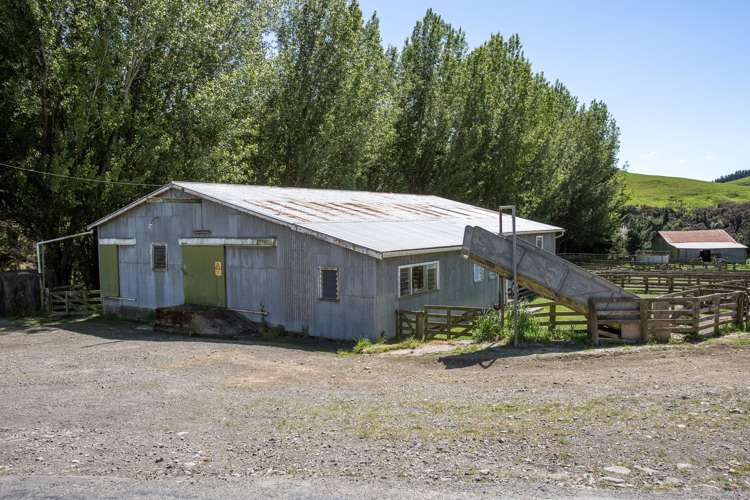 1921 Weber Road Dannevirke_38