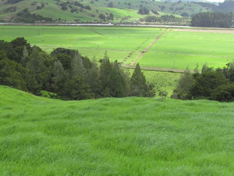 162 Roberts West Road Arapohue_15