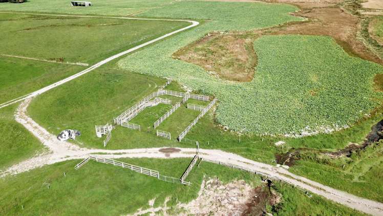 311 Hamilton Road Fairlie_14