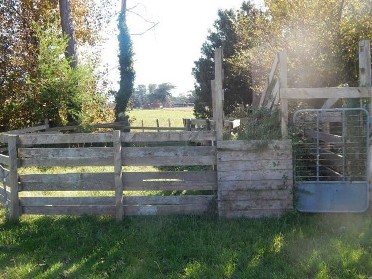 381 Bidwills Cutting Road Greytown_17