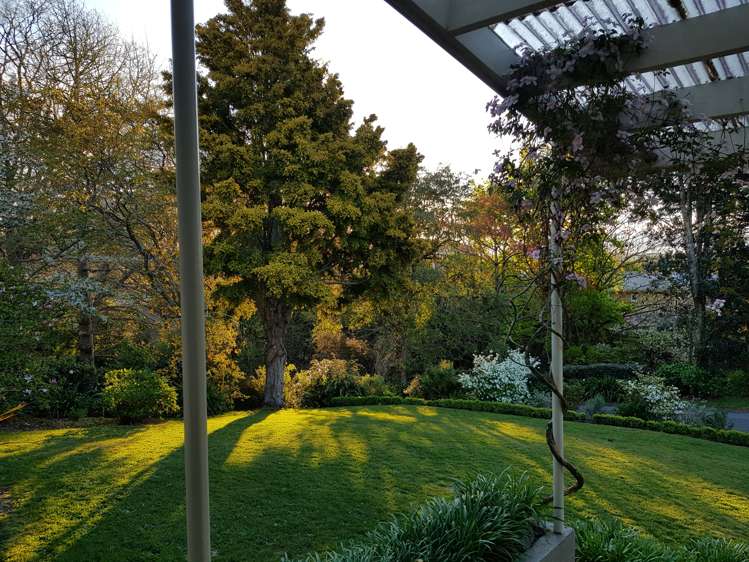 15 Terrace Street Putaruru_20