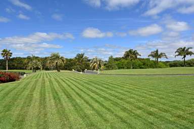 945 Kahikatea Flat Road_3