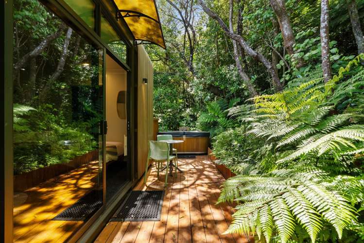 52 Amapur Drive Khandallah_24