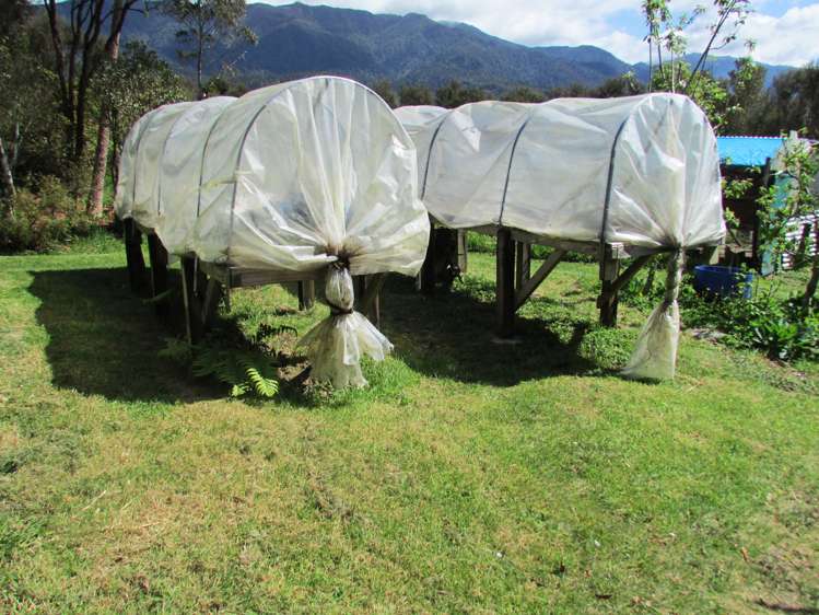 1712 State Highway 7 Moana / Lake Brunner_31