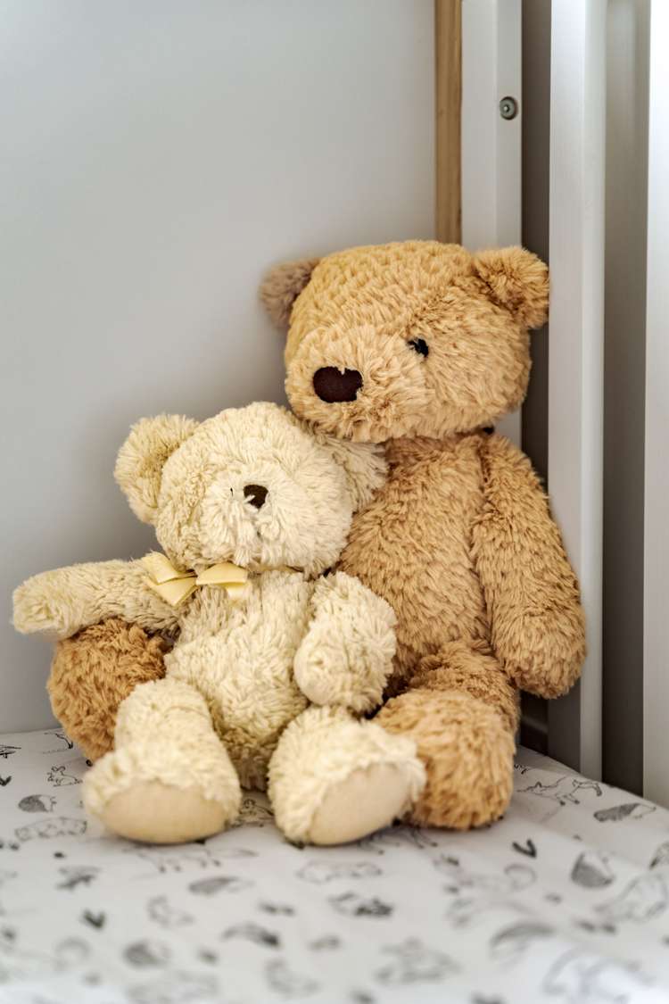 13 Bonecrusher Street Lincoln_28