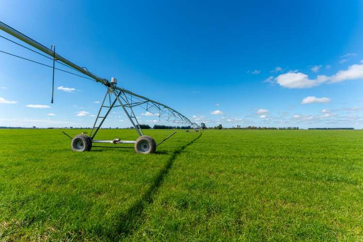 Rangitata Orari Bridge Highway Rangitata_6