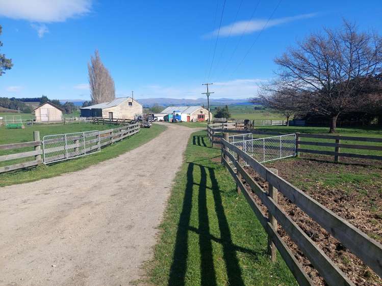 201 Weston-Ngapara Road Whitstone_15