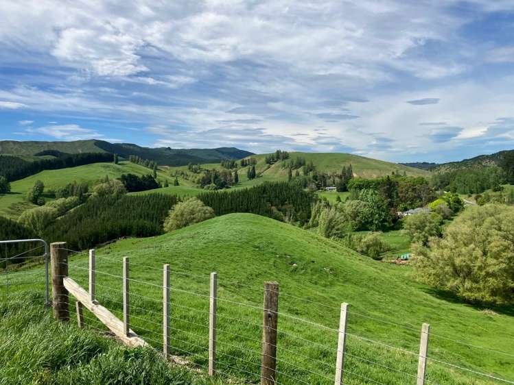 1601 Kahuranaki Road Havelock North_9