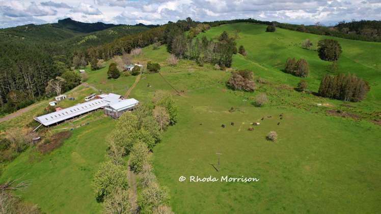 726 Paparoa Station Road Maungaturoto_63