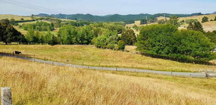 47 Tavinor Road Otaika_6