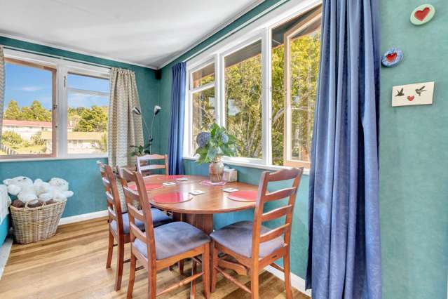 46 Parsons Street Vogeltown_4