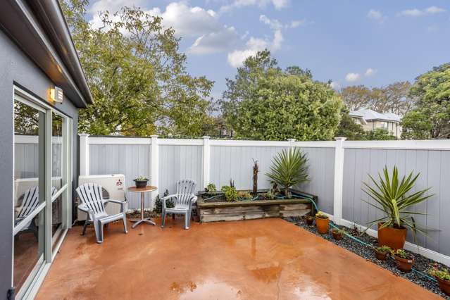 2 Antrim Street Sydenham_4