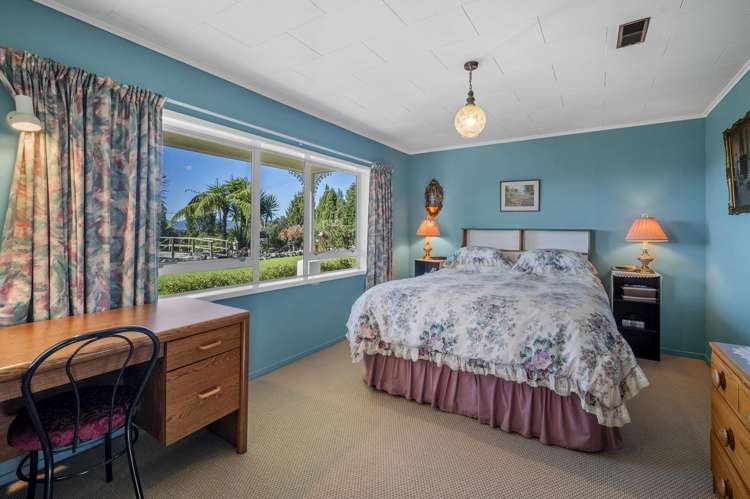 79 Utuhina Road Springfield_15