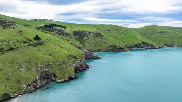 894 Le Bons Bay Road Le Bons Bay_4