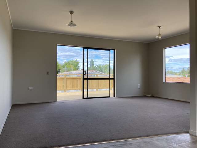 91c Arapuni Street Putaruru_1