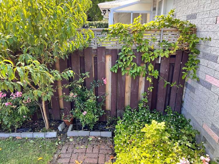 2/26 Tawa Street Eastbourne_3