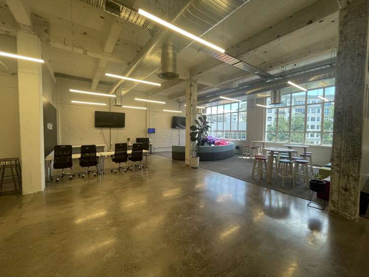 24 Balfour Road Parnell_8