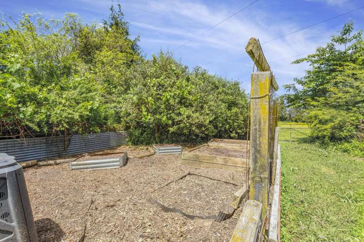 3/193 Racecourse Road Cambridge_17