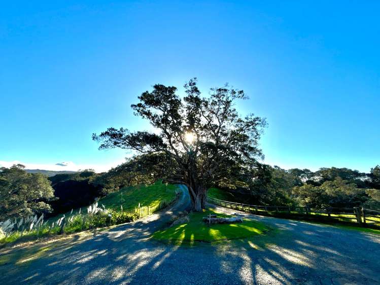 700 Pukapuka Road Mahurangi West_22