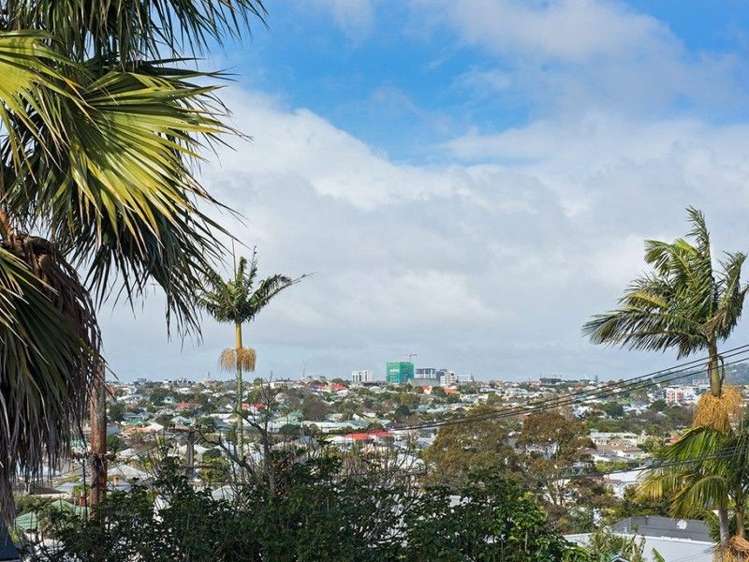 1/2a Buller Street Ponsonby_15