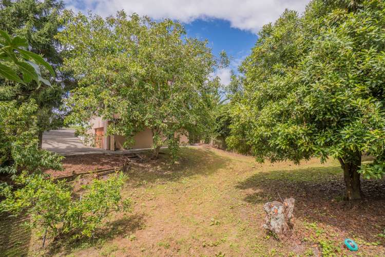 72 Lynwood Road New Lynn_4