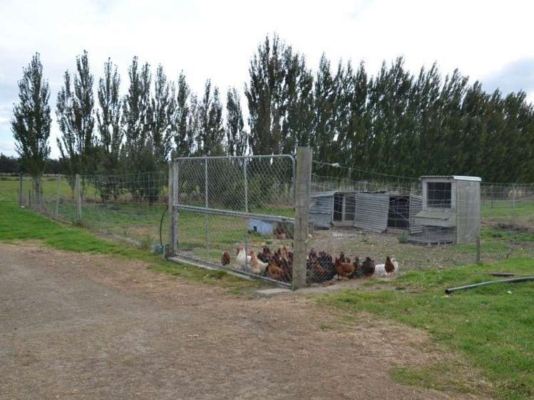 461 Centre Road Momona_2