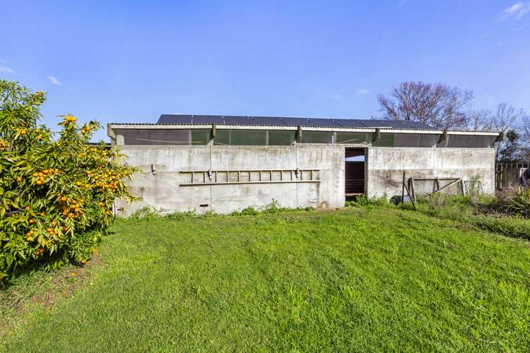 116 Lyon Street Kihikihi_26