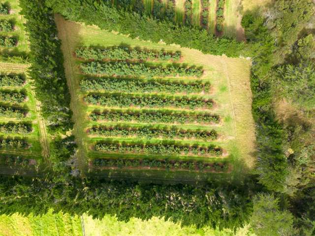 373 Kimberley Road Ngataki_2